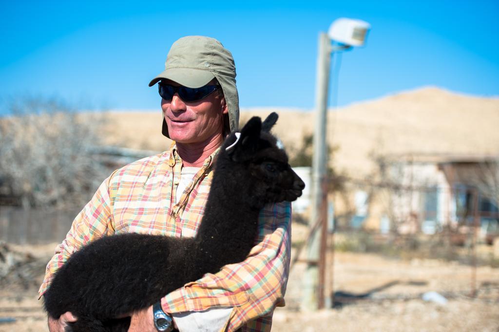 Alpaca Farm Villa Mitzpe Ramon Exterior foto