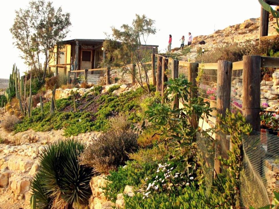 Alpaca Farm Villa Mitzpe Ramon Exterior foto