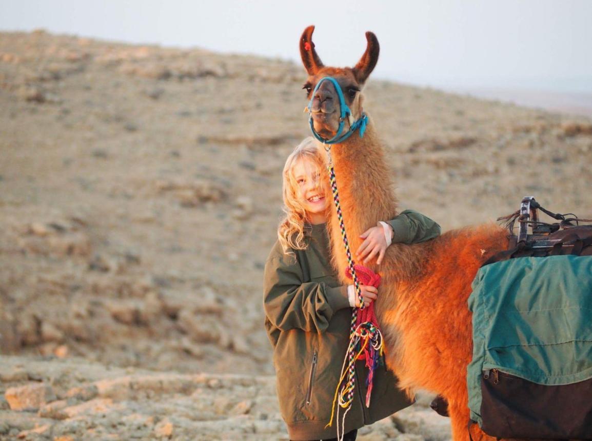 Alpaca Farm Villa Mitzpe Ramon Exterior foto