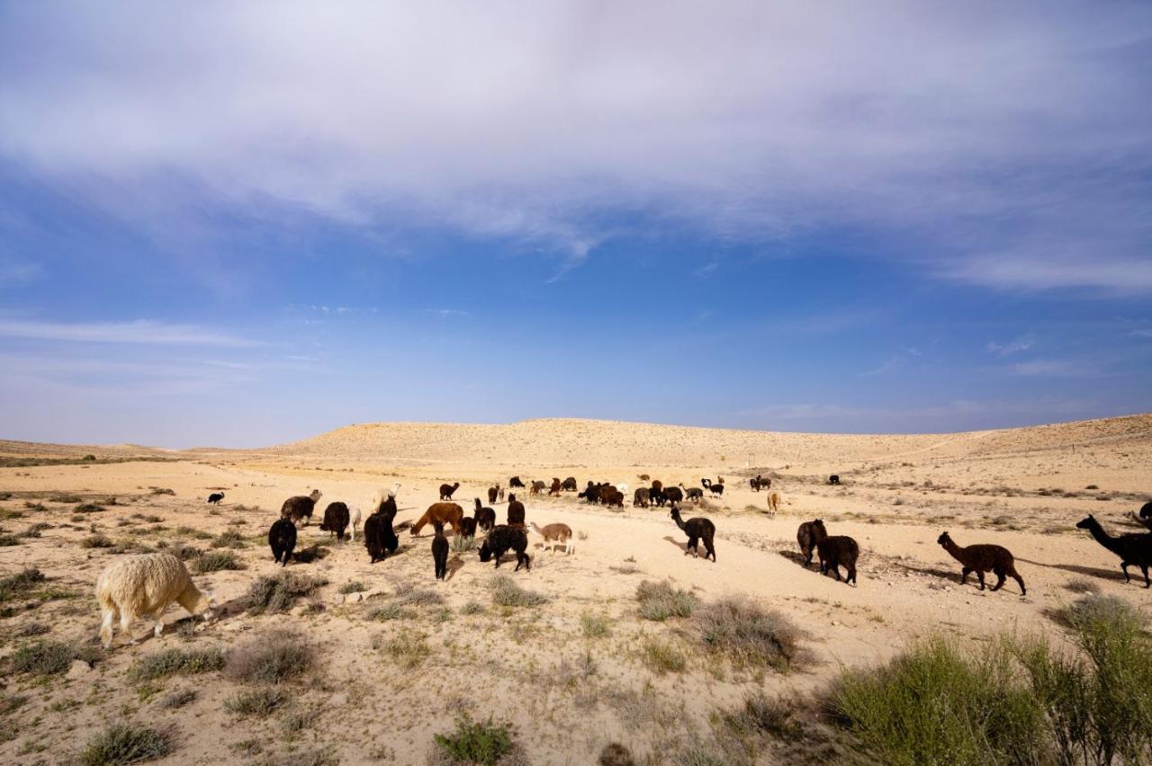 Alpaca Farm Villa Mitzpe Ramon Exterior foto