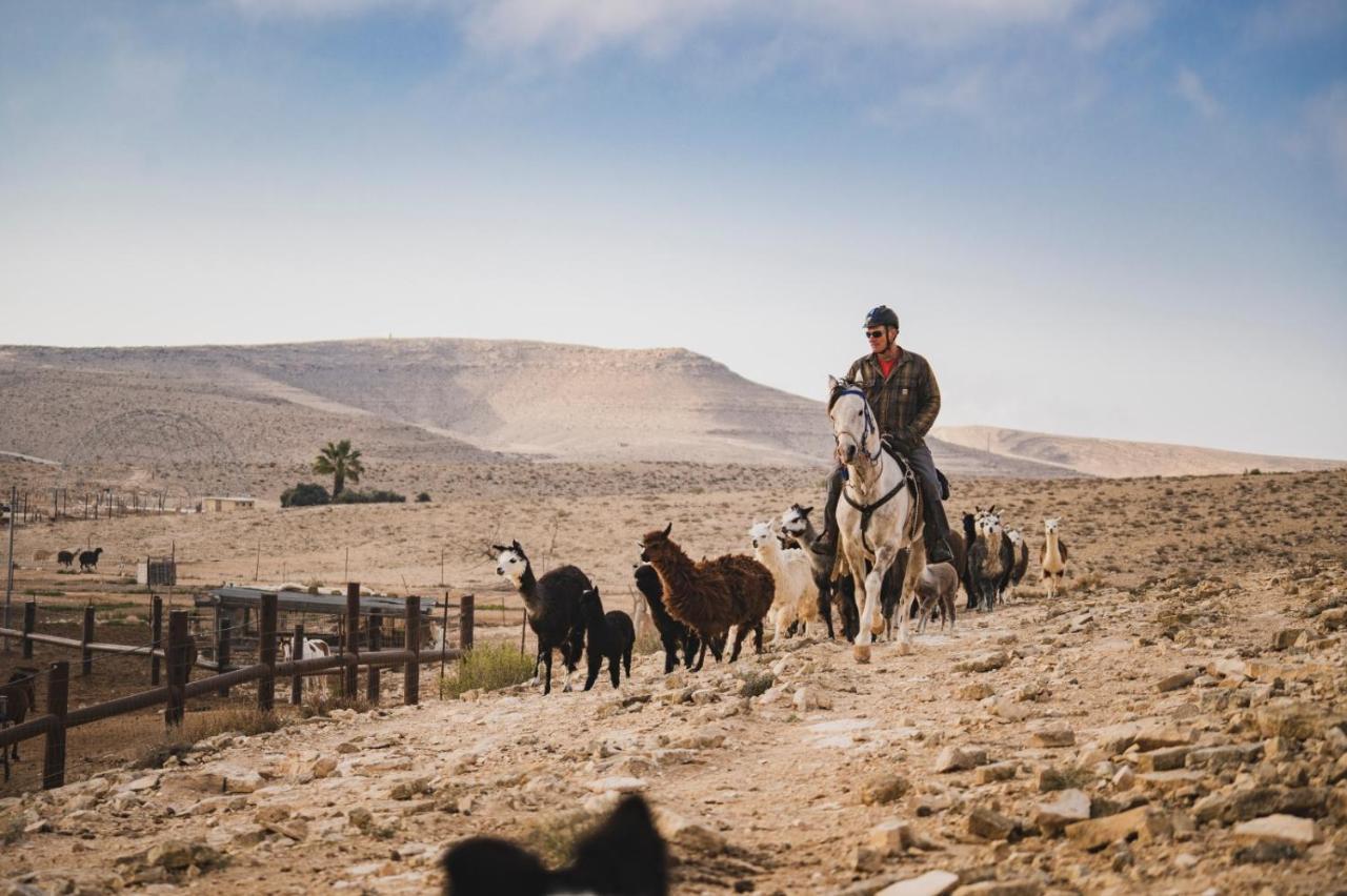 Alpaca Farm Villa Mitzpe Ramon Exterior foto