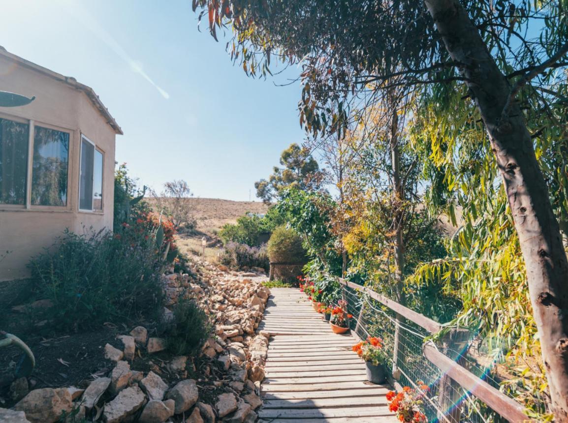 Alpaca Farm Villa Mitzpe Ramon Exterior foto