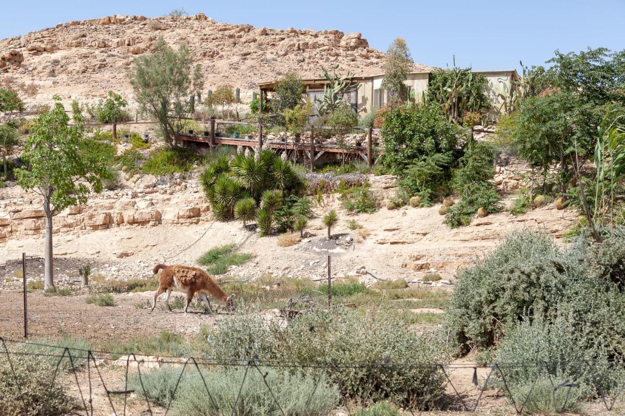 Alpaca Farm Villa Mitzpe Ramon Exterior foto