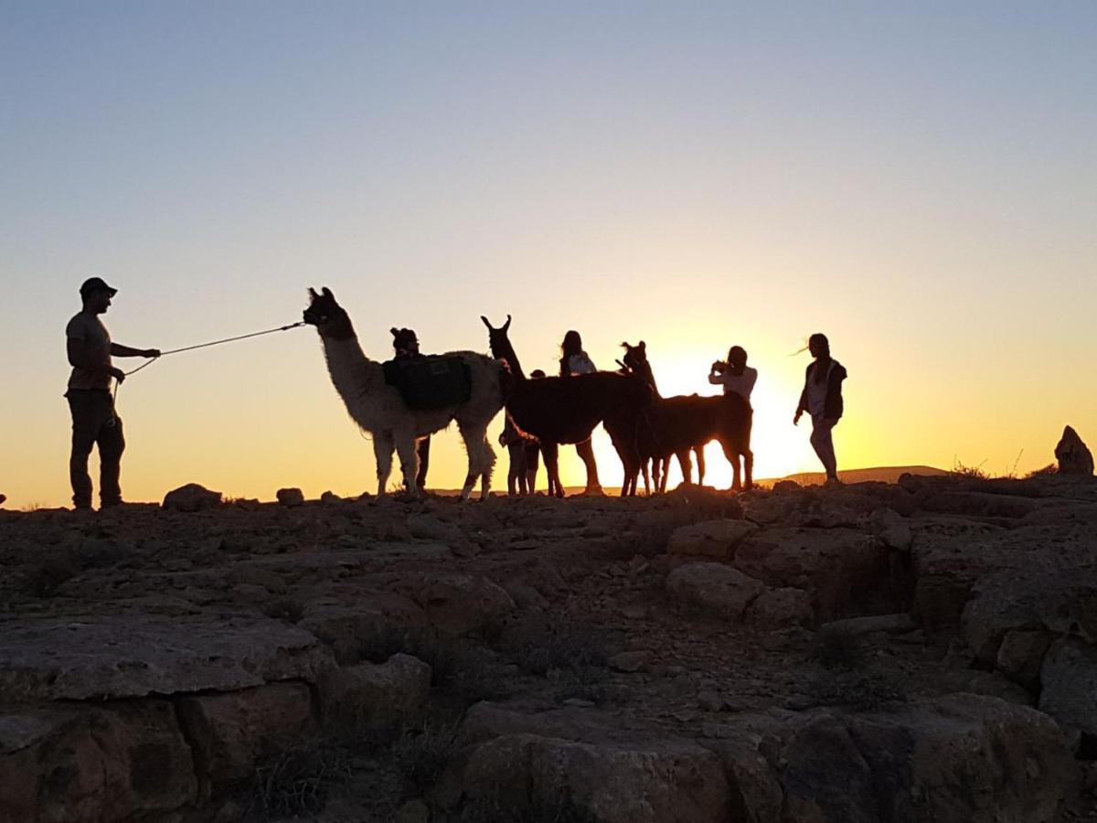 Alpaca Farm Villa Mitzpe Ramon Exterior foto