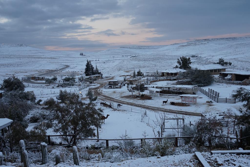 Alpaca Farm Villa Mitzpe Ramon Exterior foto