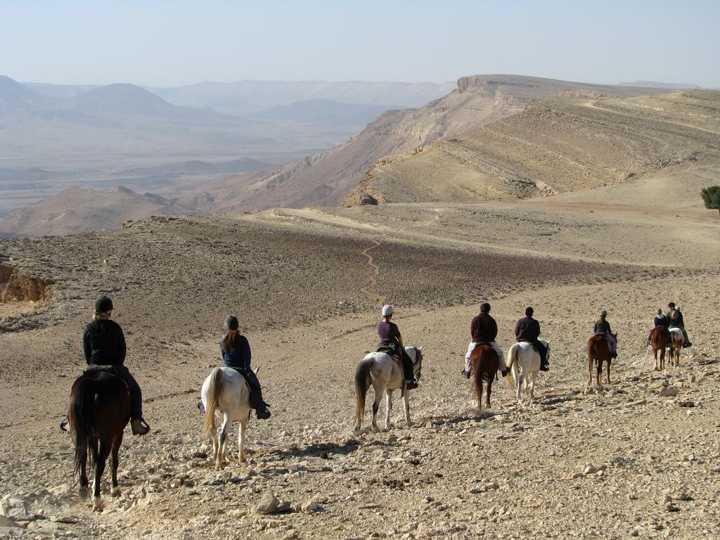 Alpaca Farm Villa Mitzpe Ramon Exterior foto