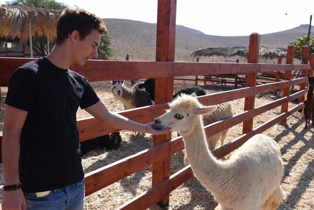 Alpaca Farm Villa Mitzpe Ramon Exterior foto