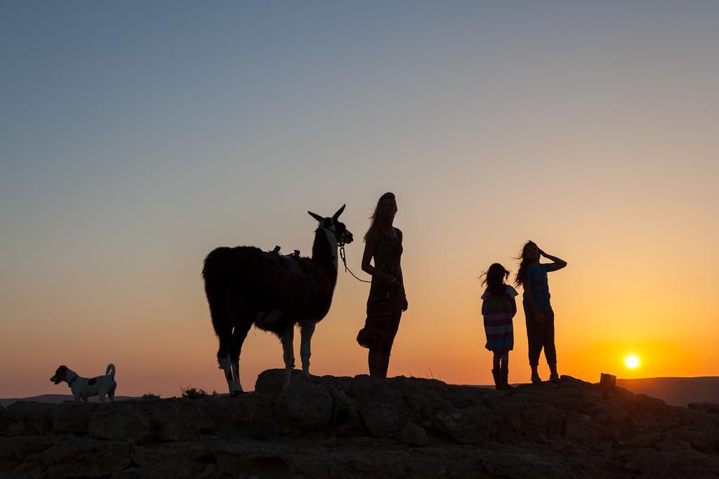 Alpaca Farm Villa Mitzpe Ramon Exterior foto