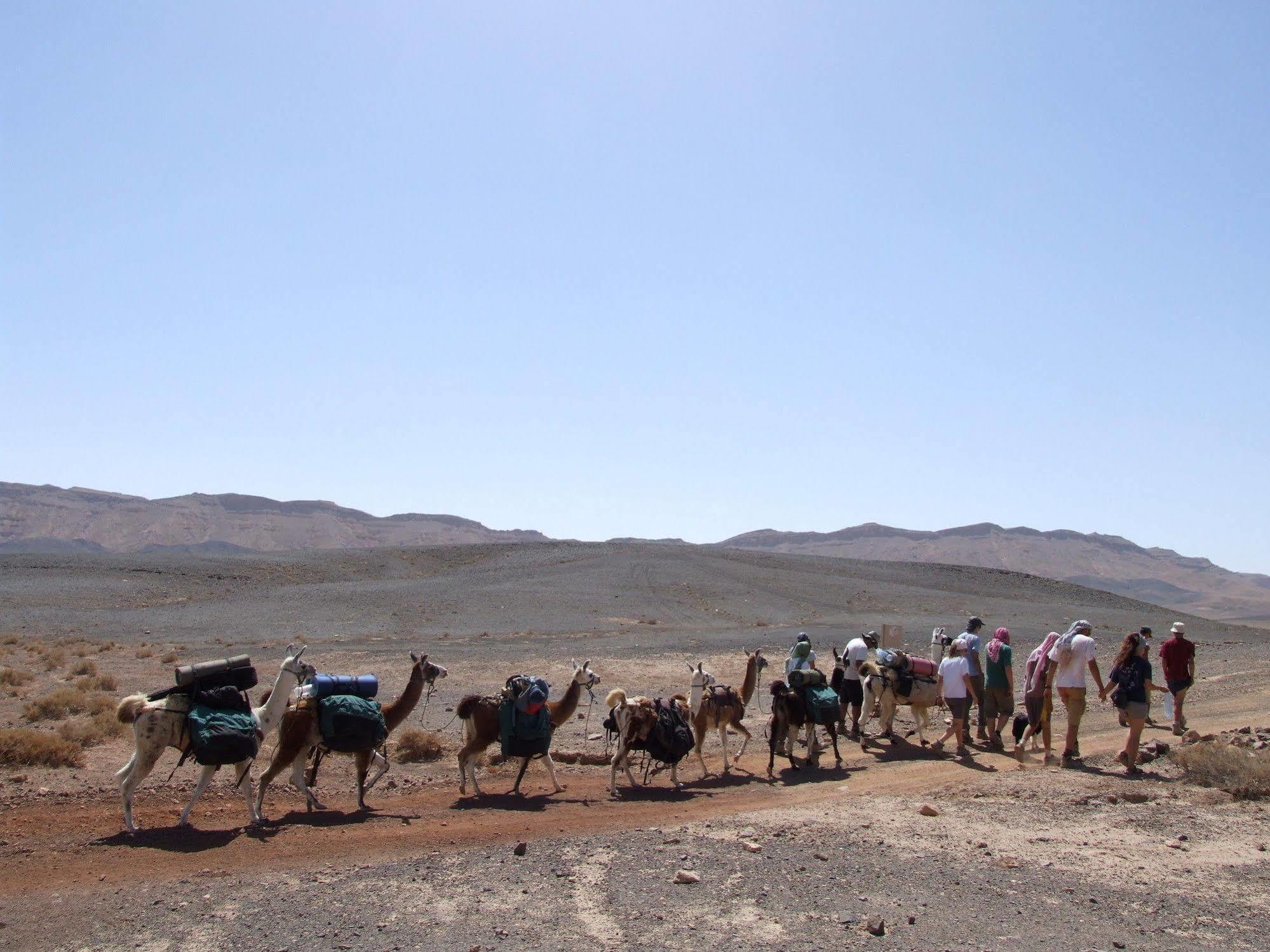 Alpaca Farm Villa Mitzpe Ramon Exterior foto